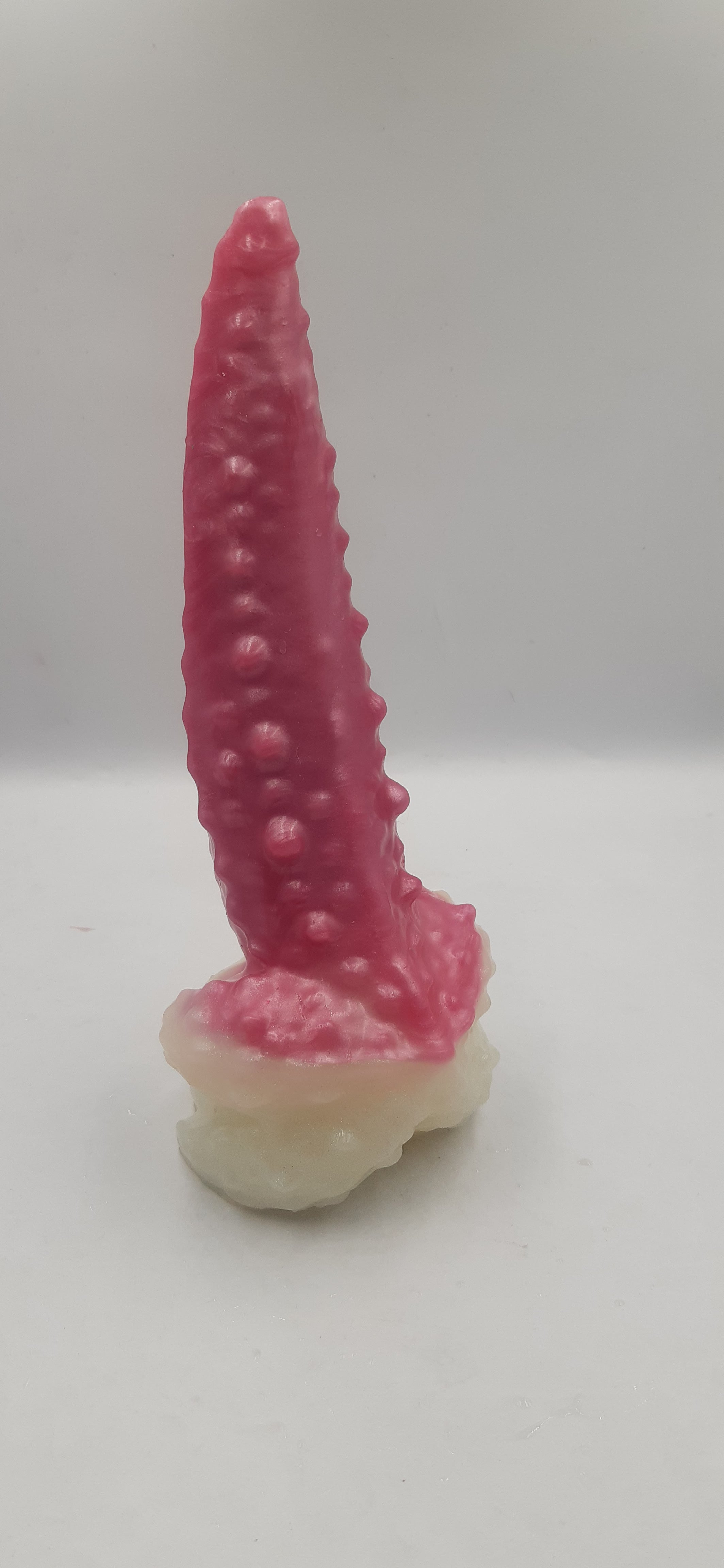 Star Fish - Stock Item
