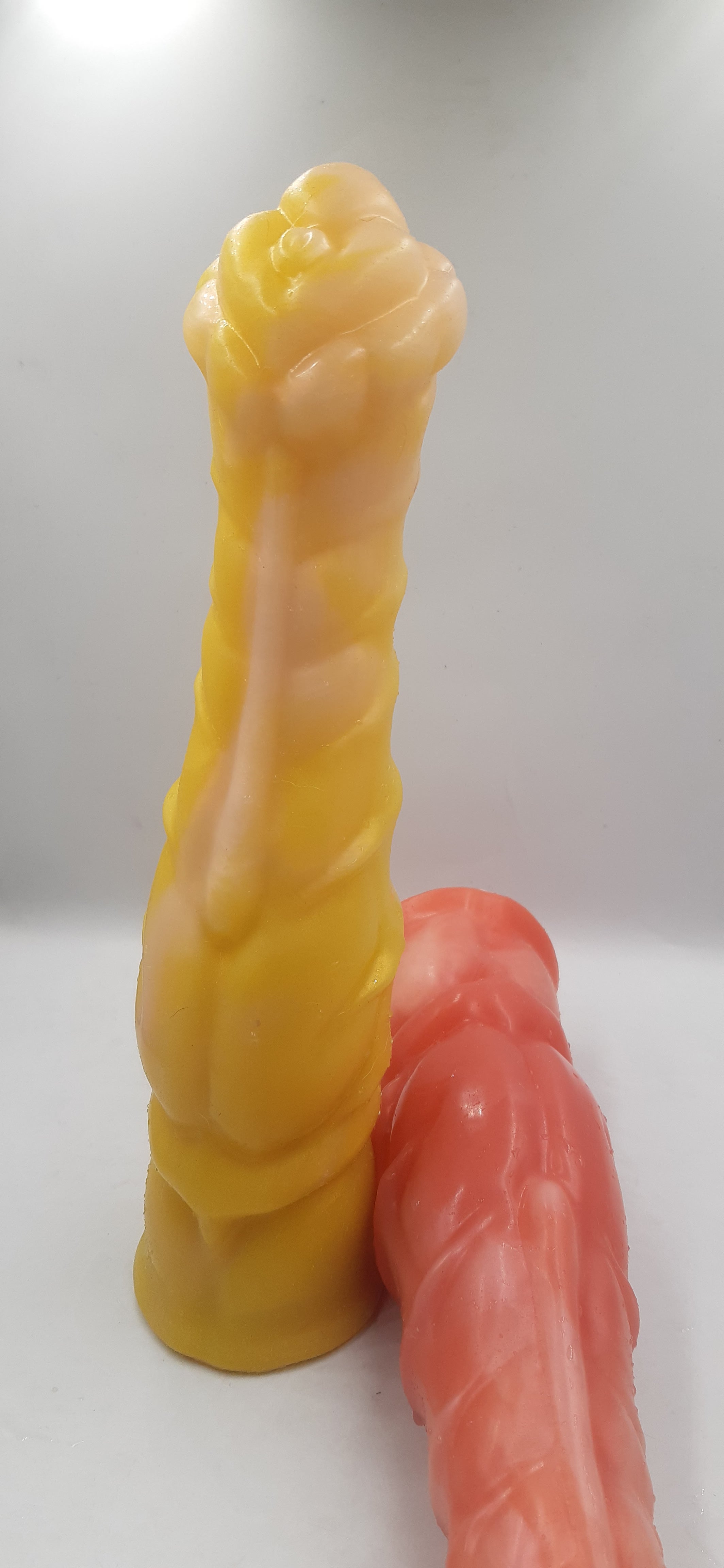 She Sea Horse - Reject